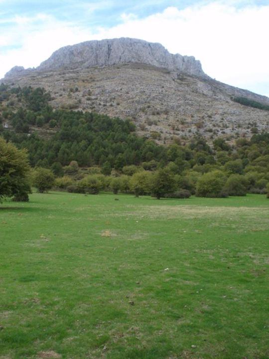 Casa Rural Casa Gonzalo Pensionat Bélmez de la Moraleda Exteriör bild